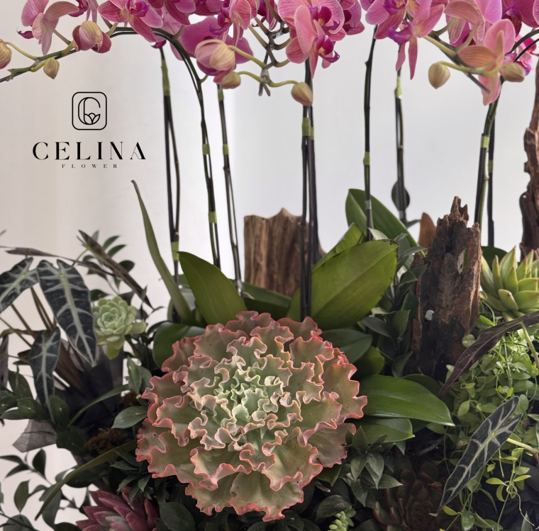 Orchids and stone lotus